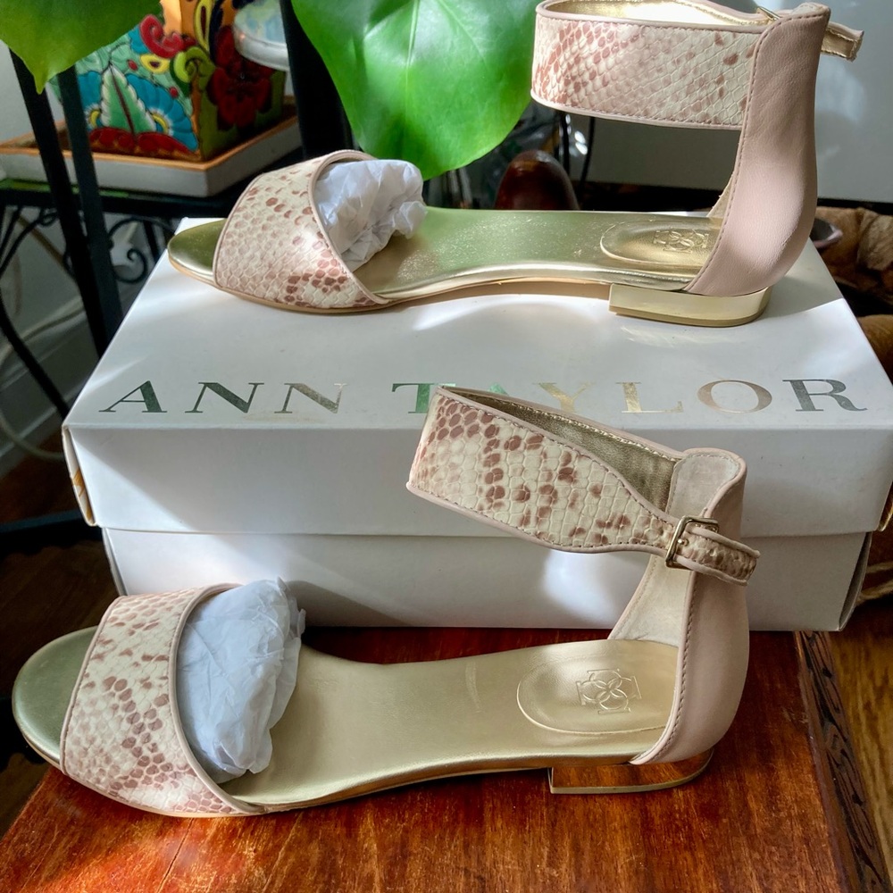 Ann Taylor Blush Snakeskin Sandals